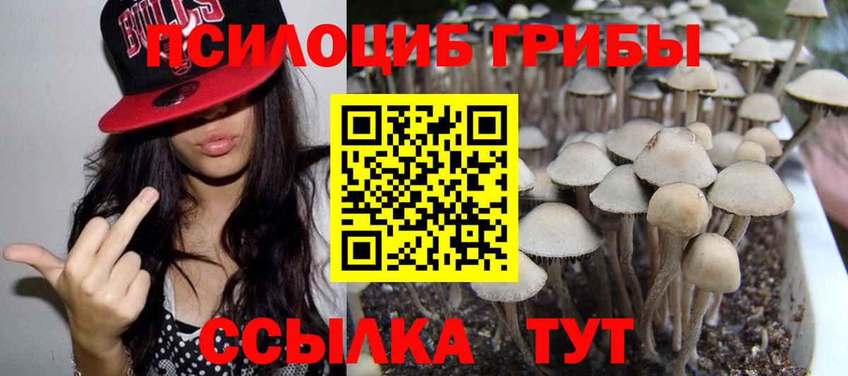 Скопин  Галлюциногенные грибы мухоморы  Вход с VPN 